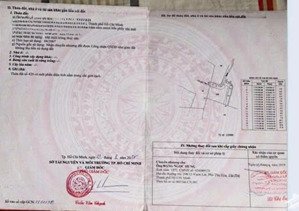 bán đất nông nghiệp. 9000m² giá 9.45 tỷ xã bình khánh, cần giờ