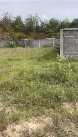 5587m2, có thổ cư mặt tiền đường hl21, dương diên nghệ, 28 tỷ xây cổng tường bao quanh gần hl2