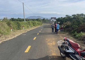 137m2 tại trục chính liên xã hoà ninh