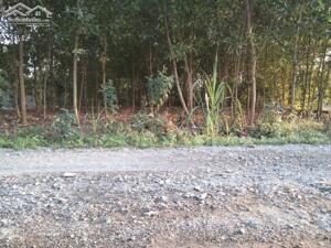 Hiếm, gần 600M2 sau Tái Định Cư Hắc Dịch, Phú Mỹ chỉ 1.15T