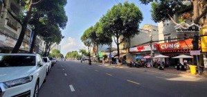 đất vàng nam kỳ khởi nghĩa ngang 8m quy hoạch 1 hầm 7 tầng