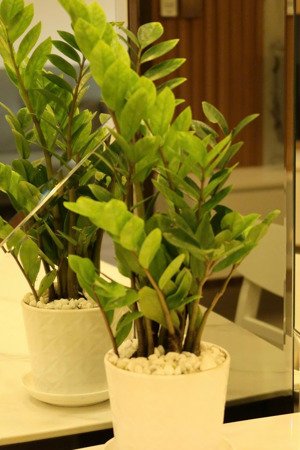 newhouse cập nhật rổ hàng thuê q7 boulevard office tel - 1pn-2pn-3pn chỉ từ 6 triệu - 24/1/2026