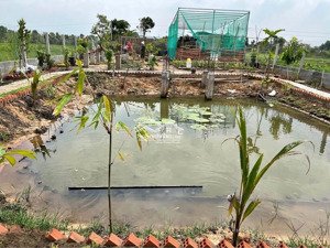 bán lô đất vườn ngay tỉnh lộ 7, 858m2 sổ hồng riêng, đường nhựa, chỉ 1.5 tỷ