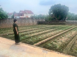 chị gái nhờ bán mảnh đất yên mỹ văn giang,oto vào đất,gần trung tâm chợ,khu công nghiệp.