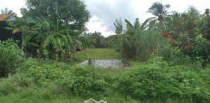 giá 3tỷ diện tích 536m2 thổ 50m2, đất mặt tiền quốc lộ 1a ninh an ninh hoà , ngang 10m