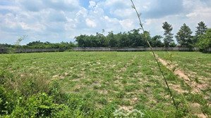 gia đình em bán miếng đất 459m2, ngay cầu vượt củ chi, có shr, nở hậu tài lộc, giá chỉ 1.3 tỷ