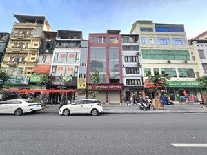 bán mp đào tấn ba đình 40mx7t thang máy 37 tỷ cho thuê 50tr/tháng vỉa hè rộng kd sầm uất cạnh lotte