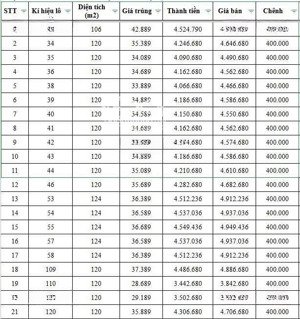 bán đất đấu giá bà cằng cạnh vjnhomes duơng kinh