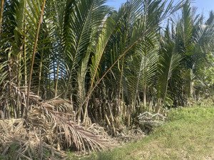 360m2 đất view dừa duy vinh gần hội an 