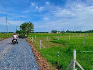 cuối năm kẹt tiền tôi bán gấp lô đất 530m2 giá 890triệu đường tỉnh lộ 7 xã thái mỹ củ chi sổ riêng