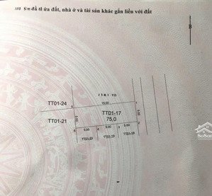 siêu phẩm vip 75m, đg gốc quéo, thôn ngọc đình, xã dân hòa (hồng dương cũ), thanh oai. đấu giá gốc