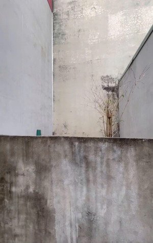 đất 40m2 hồ sen vĩnh ninh thanh trì ô tô đỗ 10m ngõ thông