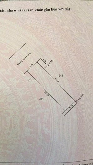 bán 2 lô đất nền kqh trung tâm phú đa, huế, 196m2 (728), đường 11m, giá chỉ 1,15 tỷ