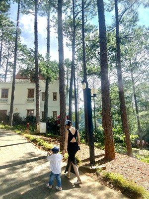 bán khu du lịch nghỉ dưỡng - khách sạn - resort tại phường 10, đà lạt, 800 tỷ, 396000 m2