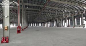Cho Thuê Kho Xưởng Sản Xuất Khuôn Viên 13000m2. Ql 51, Trong Khu Công Nghiệp Biên Hòa, đồng Nai