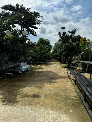 bán đất tại đường bờ bao htx phong phú 348 m2, giá tốt