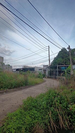 siêu phẩm nhà vườn - hơn 4.000m² tại bảo vinh, long khánh - quy hoạch đất cây lâu năm