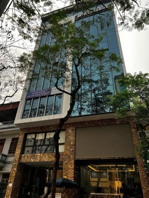 hiếm - bán nhà phố trúc khê - nguyên hồng - 86m2 - 6 tầng - vỉa hè - ô tô tránh - kinh doanh - 37tỷ