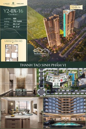 cần bán gấp căn 1n y2-06-16 toà peak1 dự án lumier essen peak -mas cổ loa ( 47,1m2) giá rẻ.