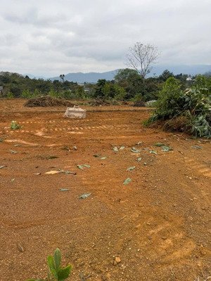 chỉ 5 triệu/m2 quý khách sở hữu ngay lô đất nghỉ dưỡng view núi đồi tại thôn rùa xã vân hoà -hn