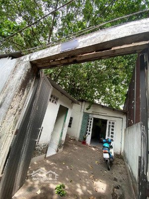 bán nhà nát tiện xây mới phạm thế hiển hxh, dt khủng 117m2, ngang 8m, phù hợp xây chdv shr chỉ 9 tỷ