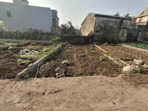 chủ cần tiền bán lô đất tại chương dương, thường tín - lõi phân khu c vinolyplmpic