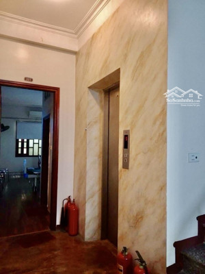 mặt phố quang trung. kinh doanh. sầm uất. 7t. thang máy xịn. vừa ở. vừa kd quá tuyệt. hiếm nhà bán