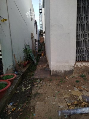 cho thuê nhà 1 trệt 1 gác lửng