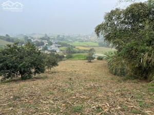 BÁN ĐẤT DIỆN TÍCH LỚN – VỊ TRÍ ĐẸP TẠI CAO PHONG, HÒA BÌNH