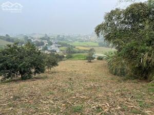 BÁN ĐẤT DIỆN TÍCH LỚN – VỊ TRÍ ĐẸP TẠI CAO PHONG, HÒA BÌNH