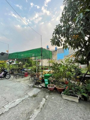 đất shr 2/liên ấp 2-6 16*15m đường 5m thông lh xem đất ạ