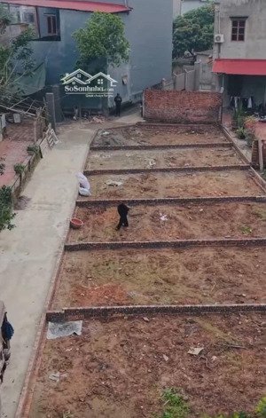 bán đất fo mãn xá phưống song liễu bắc ninh dt 45m mt 4m8 ngõ 3m dân cư đông gần chợ dâu khu cn