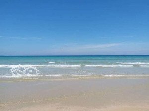 chính chủ bán lô đất biển paragrus chỉ 16tr/m2, dt: 120m2, view công viên, shr. lh: 