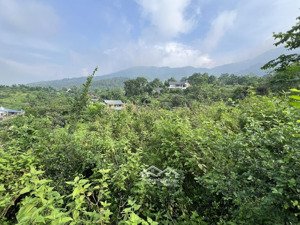 bán 872,3m2 đất tcln, đường đồng dâu, xã tiến xuân, canh trường maya