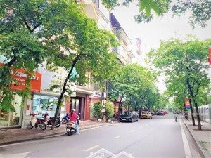 gia chủ cần tiền bán gấp mảnh đất vàng mặt phố mai anh tuấn, đống đa. diện tích 219m2, giá đầu tư.