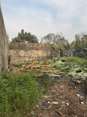 chủ gửi lô đất 10x22.4m,có 100m2 thổ cư gần cổng kcn tam phước biên hoà lô đất: 223.7m2 vuông vắn