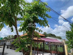 chuyền nhượng 985m2 đất gồm 317 thổ cư, 668 đất cây lâu năm, tại phường long hoa, tây ninh, 4.5 tỷ