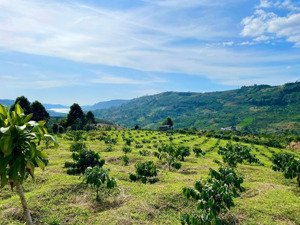 biệt thự 1.000m² view hồ ngọc thung lũng săn mây đẹp nhất bảo lộc, phường 2