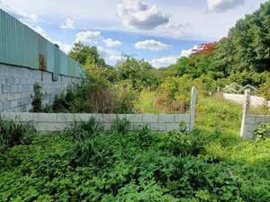 đất củ chi ngang 11,6m khu dân cư hiện hữu, giá tốt