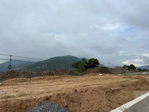 thông báo đấu giá tài sản công ty đấu giá hợp danh lam sơn sài gòn