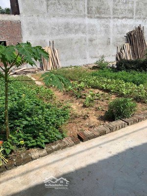 chính chủ cần bán lô đất siêu đẹp, tại thôn dược hạ, giá đầu tư.