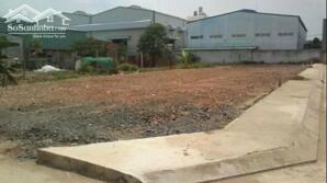 BÁN ĐẤT THỔ CƯ MỸ YÊN – BẾN LỨC | 5x20m | GIÁ 900 TRIỆU