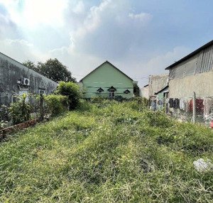 bán đất tân hiệp hóc môn 122m2 full thổ cư đường xe hơi thông giá chỉ 3,85 tỷ, tl