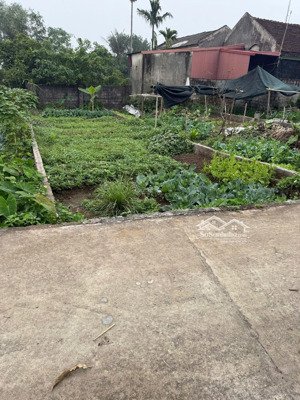 bán lô 83.1m2 đất đa chất, đại xuyên - hà nội