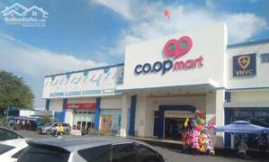 Kẹt tiền xây nhà bán lô đất 100m2 gần Co.op Bến Lức 1.8 tỷ - SHR