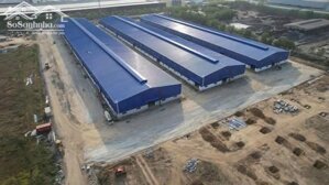 Cho thuê xưởng 9.800m2 KCN Phú Mỹ 1, Phú Mỹ, BRVT