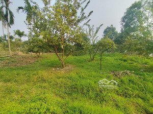 đất nghỉ dưỡng ba vì, view cánh đồng, sẵn ao mát lành, đường ô tô vào tận đất, thích hợp nghỉ dưỡng