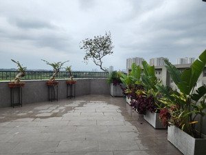 bán đất lô góc đấu giá mậu lương kiến hưng | 58m | giá 17 tỷ | vị trí hiếm