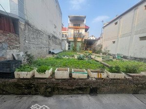 bán đất tại xã đức thượng, hoài đức, hà nội, 5,5 tỷ, 50,1 m2