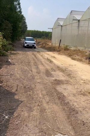 bán đất vĩnh thanh, nhơn trạch. dt 419m2, có 110m2 thổ cư, sổ đỏ trao tay, giao dịch nhanh gọn